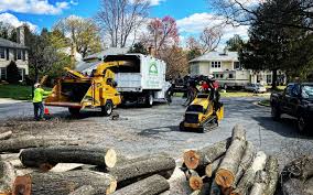 Best Fruit Tree Pruning  in Santa Ana Pueblo, NM
